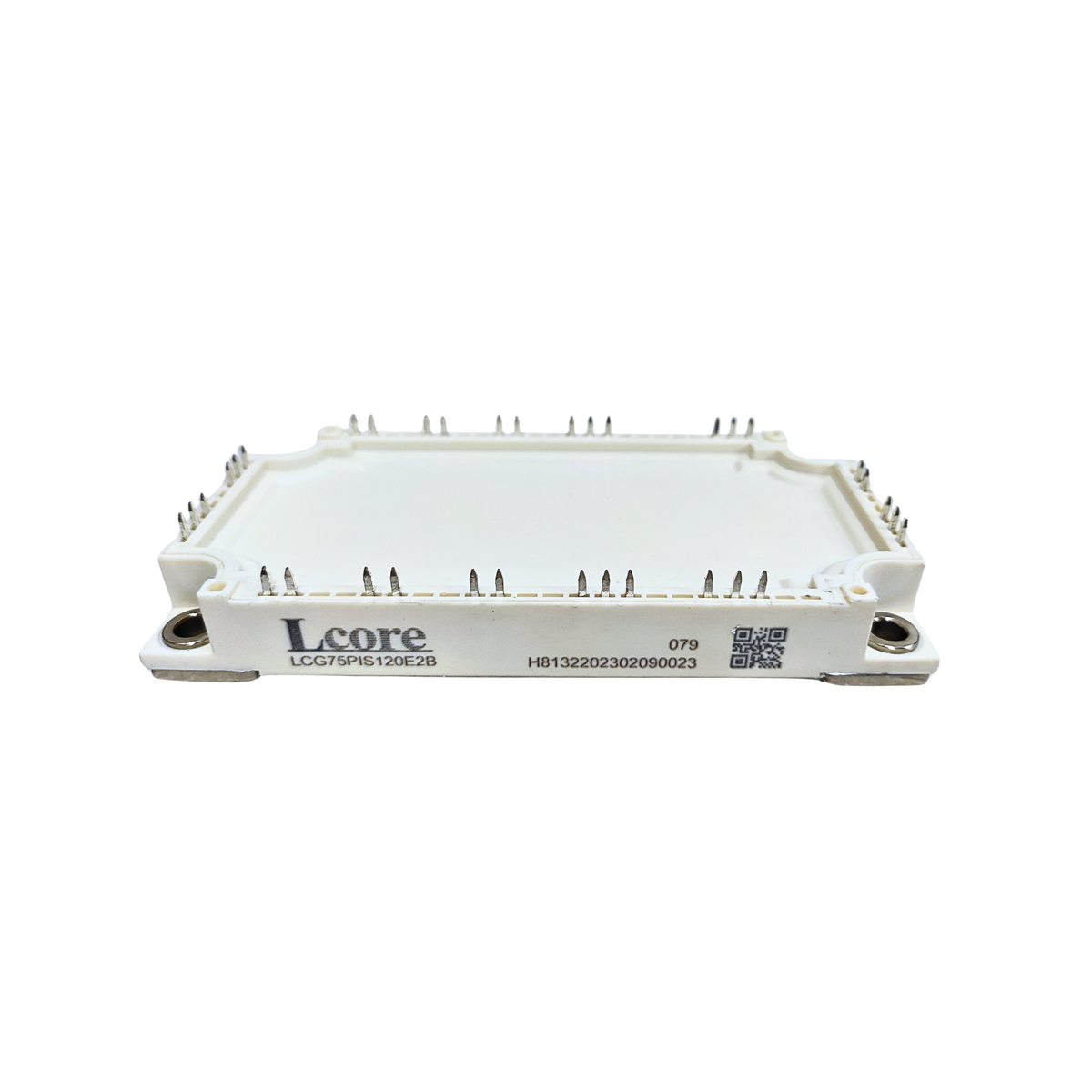 IGBT Module, Part Number : LCG75PIS120E2B