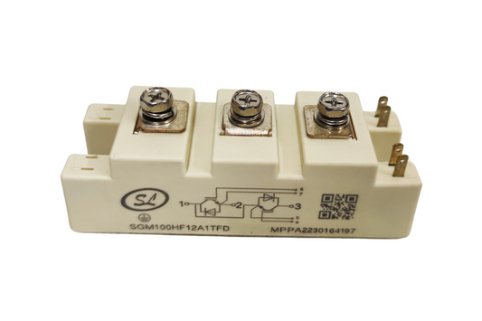 IGBT, Part Number : SGM100HF12A1TFD
