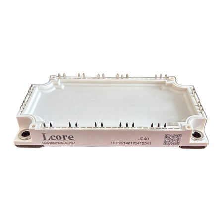 IGBT Module, Part Number : LCG100PI120E4E2B-1, Lcore